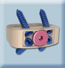 spine replacement product
